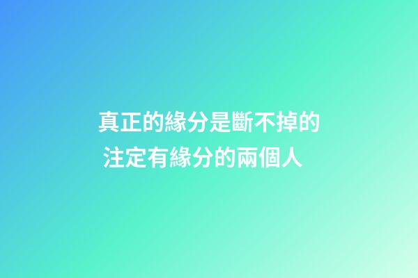 真正的緣分是斷不掉的 注定有緣分的兩個人